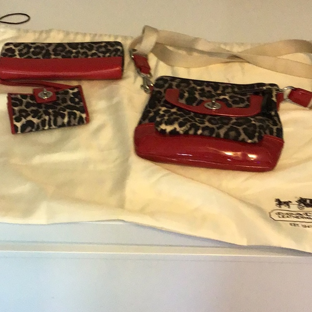 Ocelot Coach Set